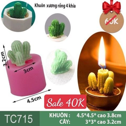 Khuôn silicon làm rau câu xương rồng 4 khía ( TC715 )