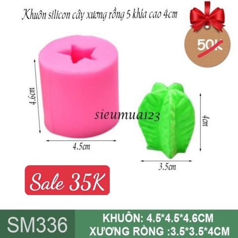 Khuôn silicon cây xương rồng 5 khía cao 4cm ( SM336 )