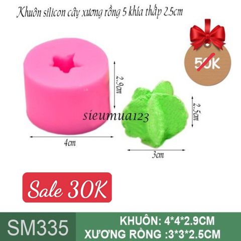 Khuôn silicon cây xương rồng 5 khía thấp 2,5cm ( SM335 )