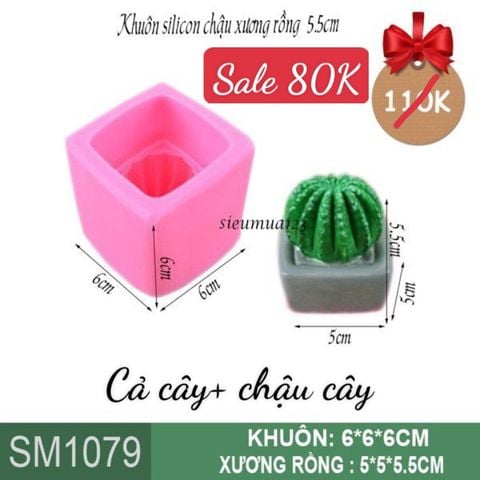 Khuôn rau câu silicon 4d : Khuôn silicon chậu xương rồng 5,5cm ( SM1079 )