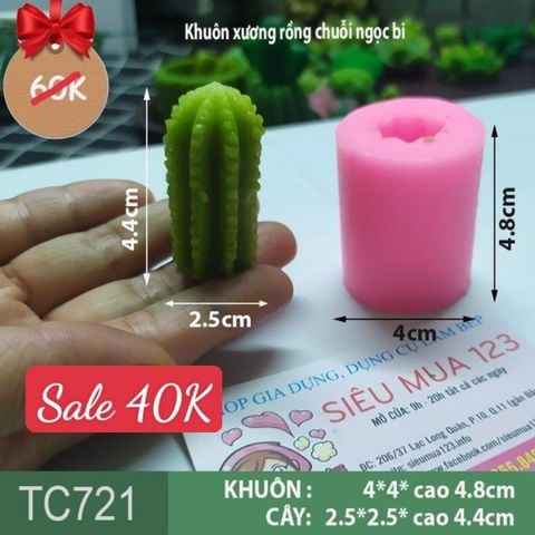 Khuôn silicon làm rau câu xương rồng chuỗi ngọc bi 1c ( TC721 )