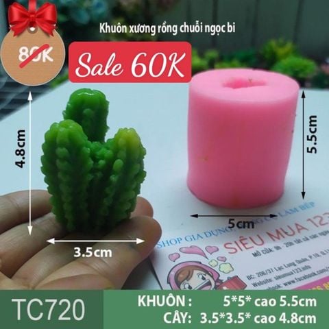 Khuôn silicon làm rau câu xương rồng chuỗi ngọc bi 3c ( TC720 )