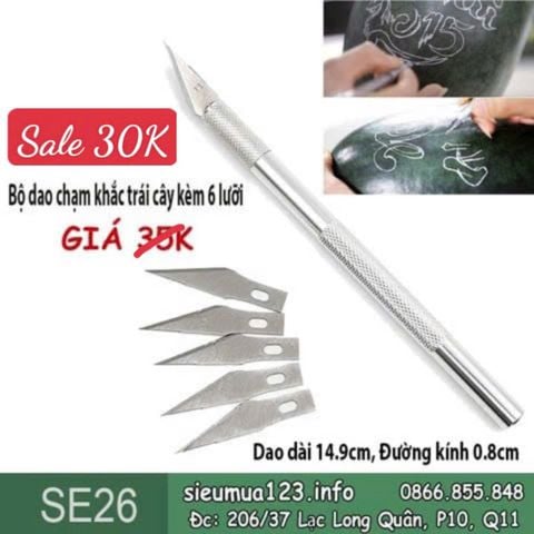 Bộ dao chạm khắc trái cây kèm 6 lưỡi ( SE26 )