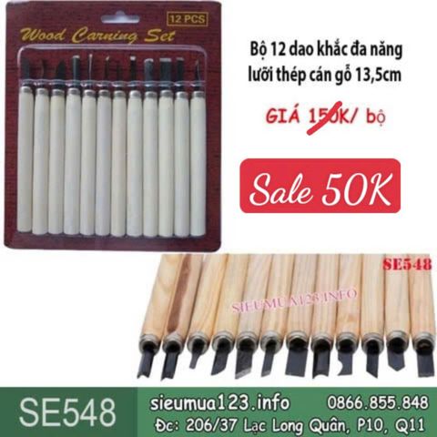 Bộ 12 dao khắc đa năng lưỡi thép cán gỗ 13,5cm ( SE548 )