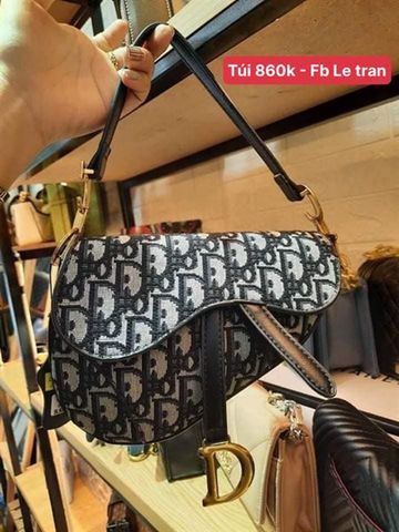 TÚI DIOR SADDLE BAG CHÍNH HÃNG THIẾT KẾ THỜI THƯỢNG PHONG CÁCH ĐẲNG CẤP