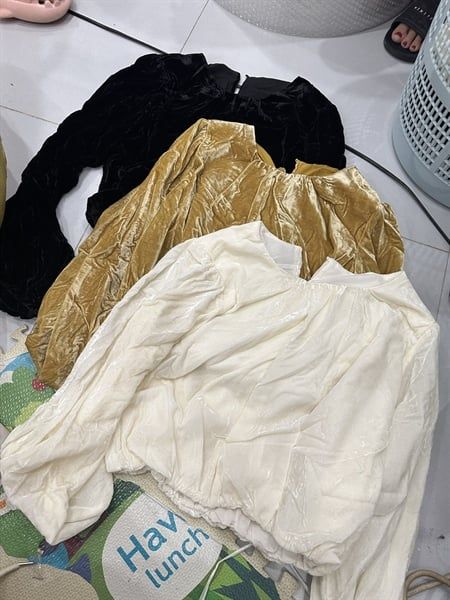  ADTN nhung trơn chin gấu 