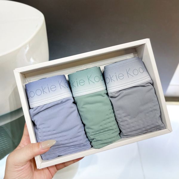  MK Hộp Boxer QC 858 