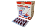 Glucosamin 500mg Usapharm (H/100v) (Đỏ) (viên nang)