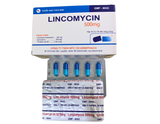 Lincomycin 500mg Armephaco XN 120 (H/100v)