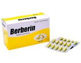 Berberin 100mg Bidiphar (H/200v) (viên nang)