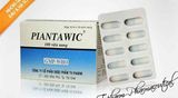 Piantawic 500Mg Tv.Pharm (H/100V) (viên nang)