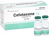 Cefotaxone Cefotaxim1g Bidiphar (H/10lọ)