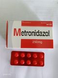 Metronidazol 250mg Quảng Bình (H/100v)