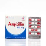 Ampicilin 500Mg - Domesco (H/100V)