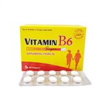 Vitamin B6 Phong Phú (H/100V) (viên nén bao đường)