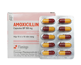 Amoxicilin 500Mg Flamingo (H/100V)