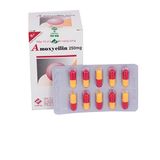 Amoxycilin 250Mg Vidipha (H/100V)