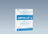 Ampicilin 1G Inj. Mekophar (H/50 Lọ/1G)