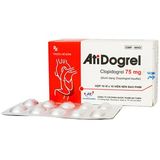 Atidogrel Clopidogrel Bisulfat 75mg AT.Pharco (H/100v) (viên nén bao phim)