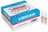 Lidocain 40mg/2ml Vĩnh Phúc (H/100o/2ml)