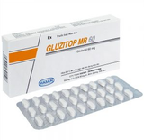 Gluzitop 60 Hasan (H/60V)