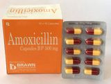 Amoxicillin 500 Brawn (H/100V)