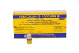 Penicillin G 1.000.000Iu/Ml Mekophar (H/50lo)