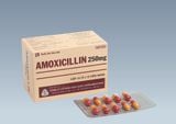 Amoxicillin 250Mg Mekophar (H/100V)