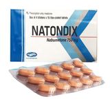 Natondix Nabumeton 750mg SAVI (H/60v)