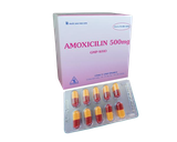 Amoxicillin 500Mg Tipharco (H/100V)