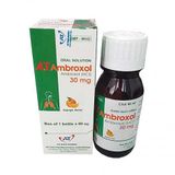 A.T Ambroxol An Thiên (C/60Ml)