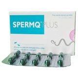Viên uống hỗ trợ Sinh sản Nam SpermQ Plus Mediplantex (H/60v)