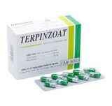 Terpinzoat Hạt Cải Tv.Pharm (H/100v) (viên nang)