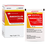 Amoxicillin 250Mg Imexpharm (H/12G/1Gr) (Gói)