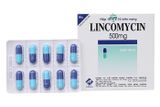 Lincomycin 500Mg Vidipha (H/100V) (viên nang)
