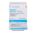 Ventolin Nebules 2.5mg Gsk (H/6v/5o)