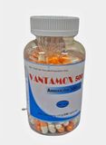 Vantamox Amoxicilin 500Mg Tipharco (C/200V)(viên nang cứng - chai trong)