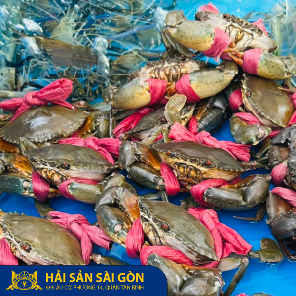  Cua Thịt Y3 