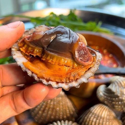  Sò Huyết Cồ 