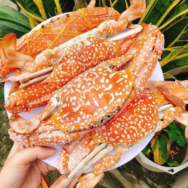  Ghẹ (400gram/phần) 