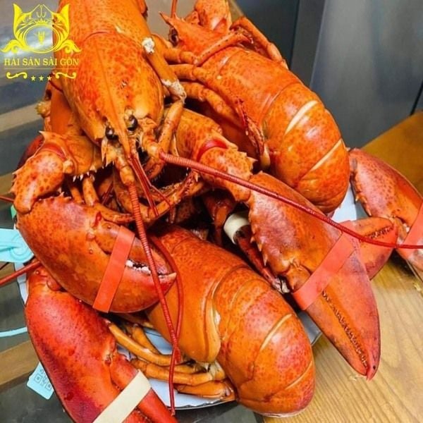  Tôm hùm Alaska(500gram/phần) 