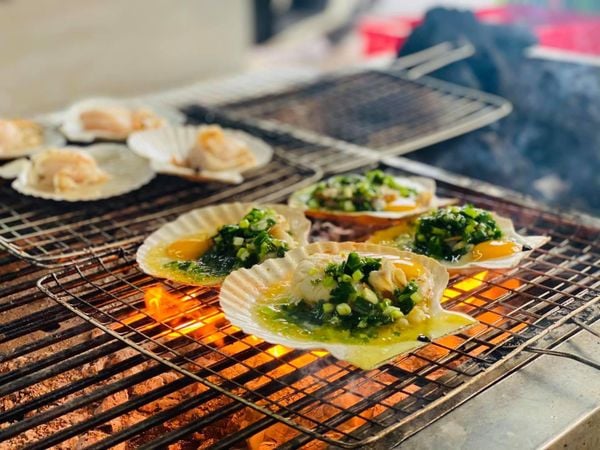  Sò Điệp Nhật Sống 