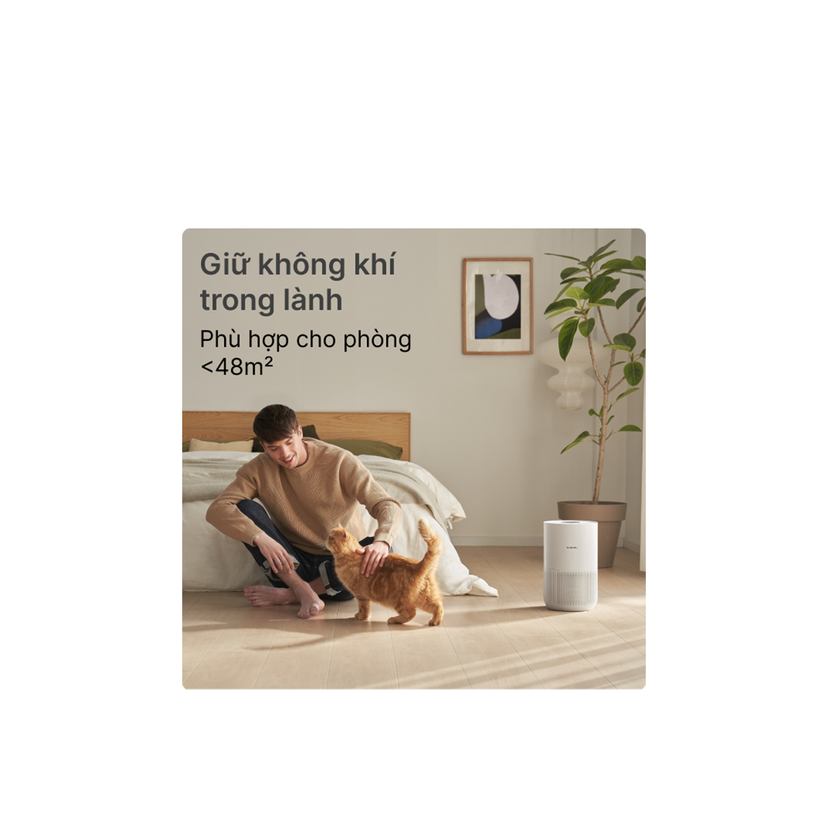  Máy lọc không khí Xiaomi Air Purifier 4 Compact 