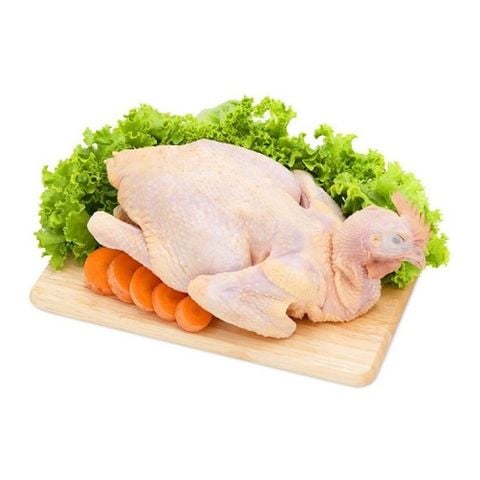 Gà ta Thả vườn nguyên con làm sạch [HCM-Hỏa tốc] Bao dai ngon, ngọt thịt, săn chắc- Pinky House