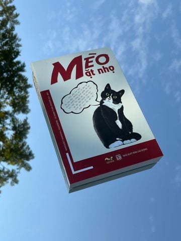 Mèo mặt nhọ