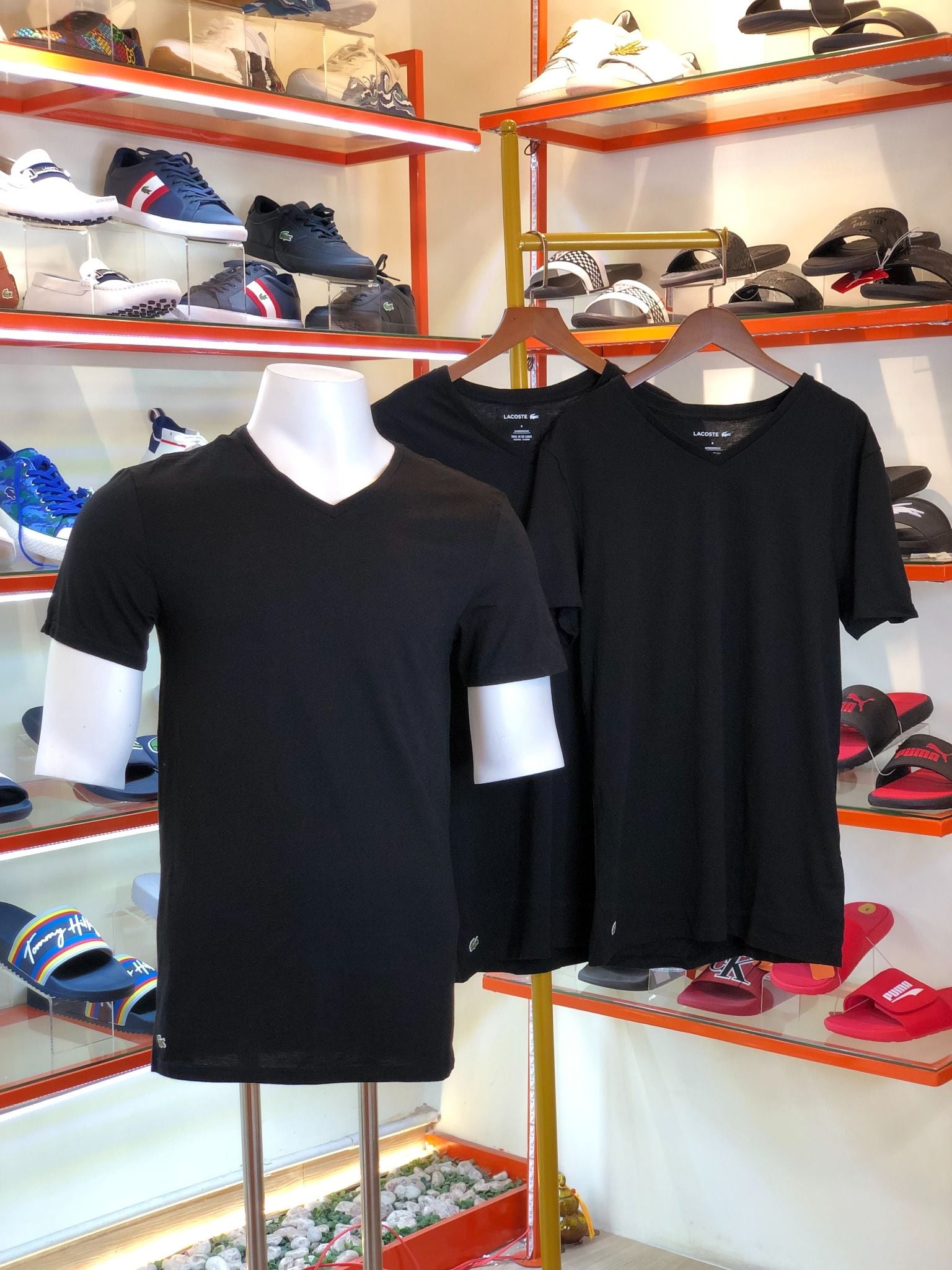 Set 3 Áo Lót Cổ Tim Lacoste Đen - New - TH344451