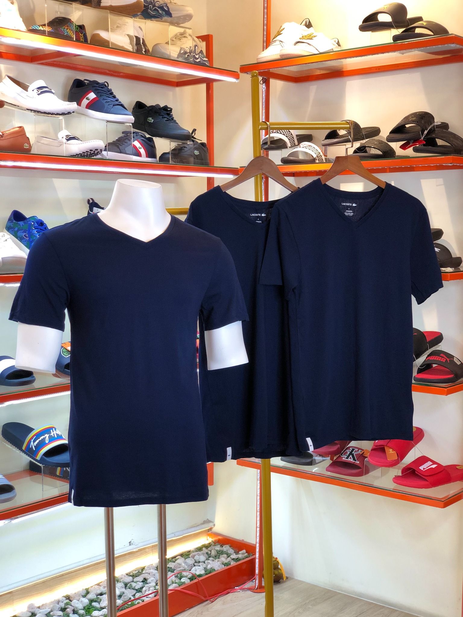 Set 3 Áo Lót Cổ Tim Lacoste Xanh Đen - New - TH900251