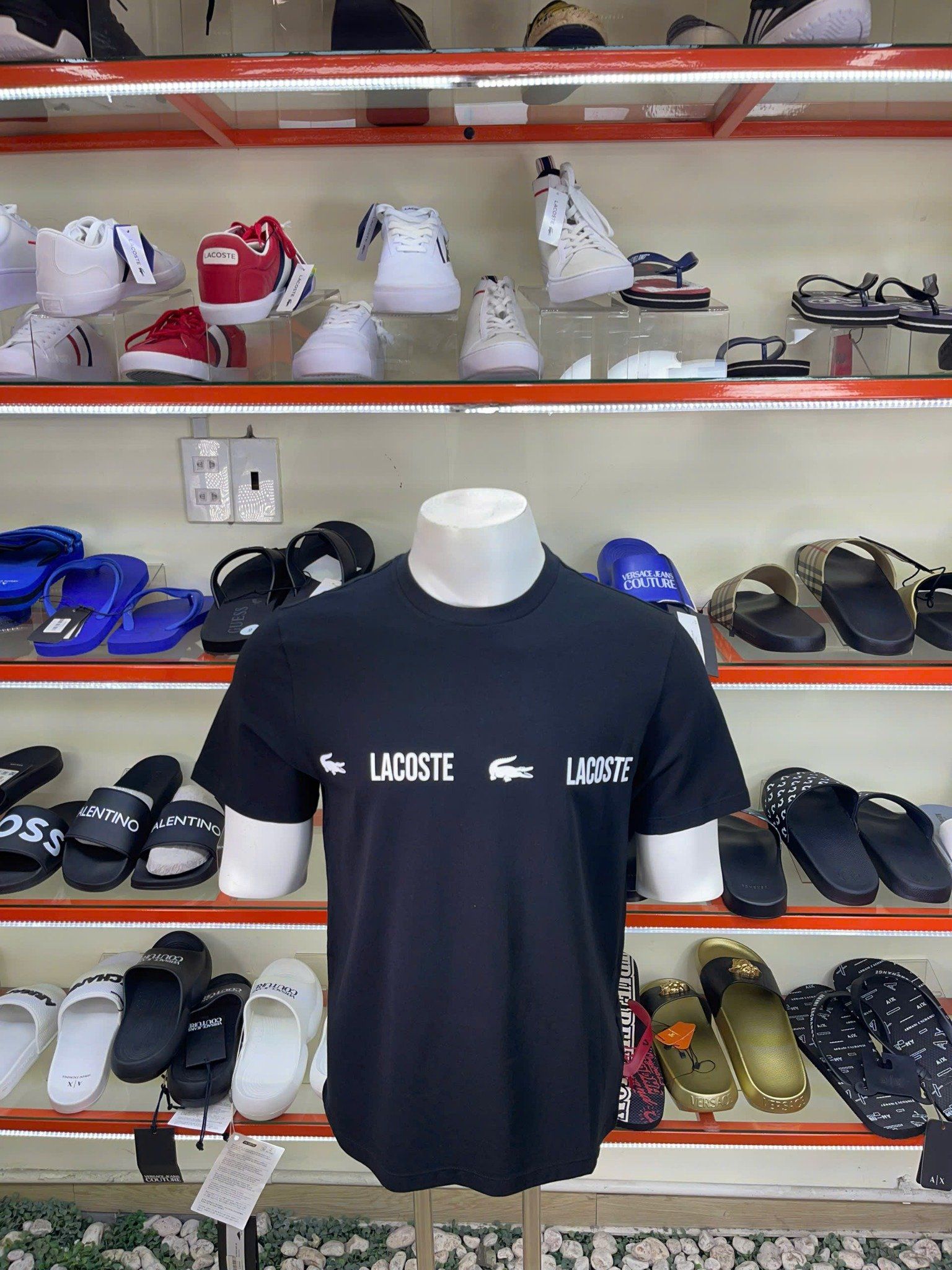 Áo Thun Lacoste Đen Cá Ngang Trắng - New - TH151151258 - PB05