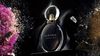 Goldea The Roman Night Bvlgari for women