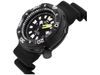 Promaster Diver Black Dial Men's Watch BN0175-19E